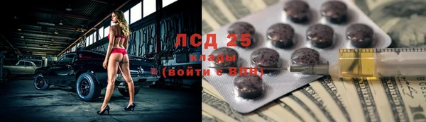 прущие грибы Алексин