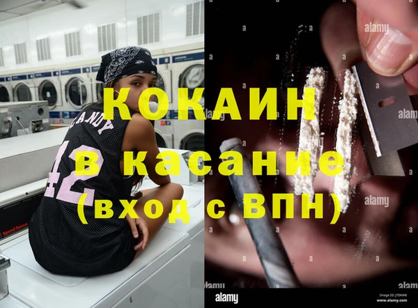 прущие грибы Алексин