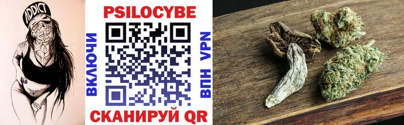 Галлюциногенные грибы Psilocybe  Лесной 
