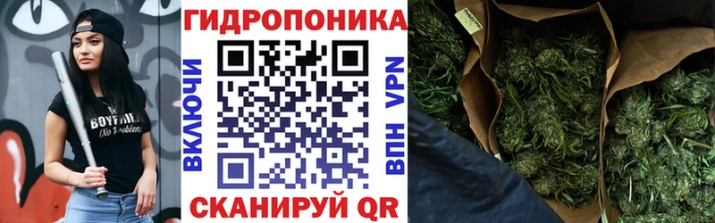 Шишки марихуана SATIVA & INDICA Лесной